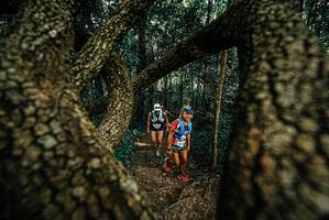 BIB: 
                            <button type="button" onclick="openModal(25670359)" class="btn btn-primary btn-sm float-right btn-popup" data-toggle="modal" data-target=".modal-high-quality">
                        <i class="fas fa-shopping-cart"></i> Add to Cart
                    </button>
                                            <button type="button" onclick="isThisMe(25670359, true)" class="btn btn-success btn-sm float-right btn-popup btn-isme hidden" data-toggle="tooltip" data-placement="bottom" title="นี่คือรูปของคุณใช่ไหม คลิกที่นี่เพื่อเอาเข้าอัลบั้ม">
                        <i class="fas fa-plus"></i> Add to album
                    </button>
                    <button type="button" onclick="isThisMe(25670359, false)" class="btn btn-warning btn-sm float-right btn-popup btn-isnotme hidden">
                        <i class="fas fa-ban"></i> Remove from album
                    </button>